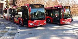 Autobuses Universidad
