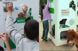 Máquina recicladora que alimenta a animales callejeros