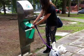 Bolsas biodegradables para perros