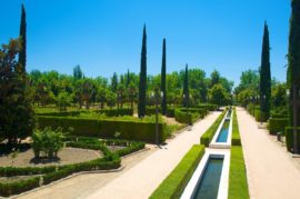 Más parques y zonas verdes para Granada