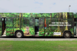 Autobús muestra animales en extinción