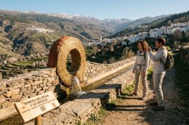 Regeneración Territorial a través del Arte Inmersivo en Entornos Rurales