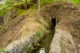 Ecos del Agua: Corredores de Arte, Ciencia y Legado