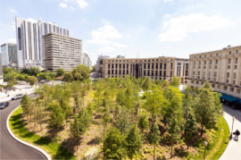 Más árboles para una Granada más fresca
